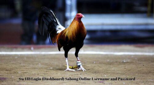 Sw418 Login (Dashboard) Sabong Online Username and Password