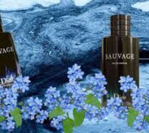 Dior sauvage dossier.co the new fragrance Sensation