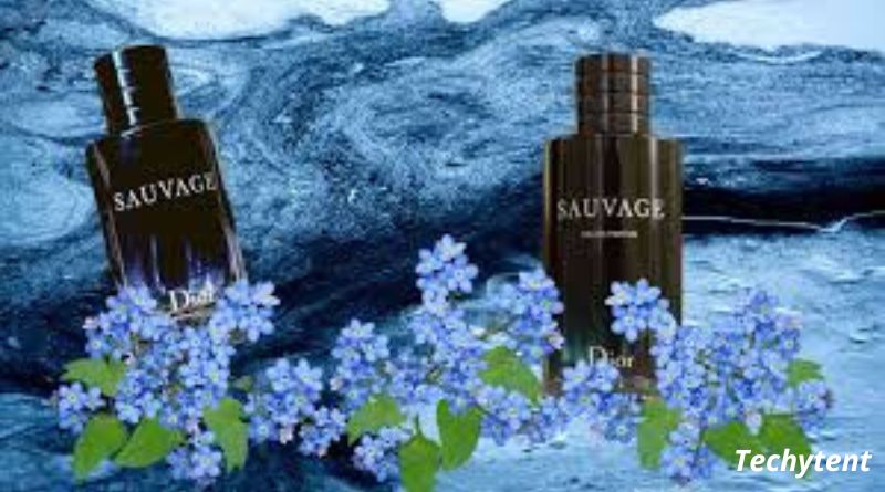 Dior sauvage dossier.co the new fragrance Sensation
