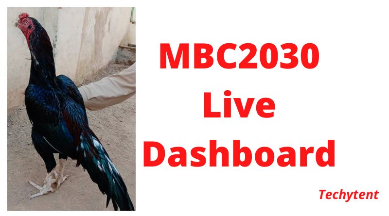 MBC2030 live Complete Register and Login Guidelines