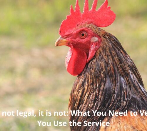 If Wpit18 is not legal, it is not: What You Need to Verify Before You Use the Service