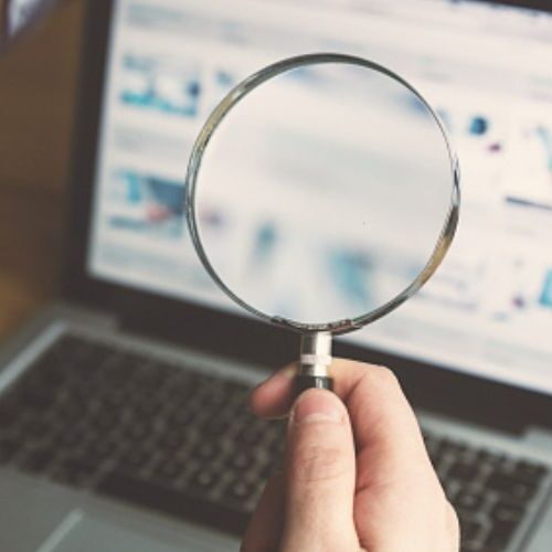 Find Out What The Buzz Is About With This New Reverse Image Search!