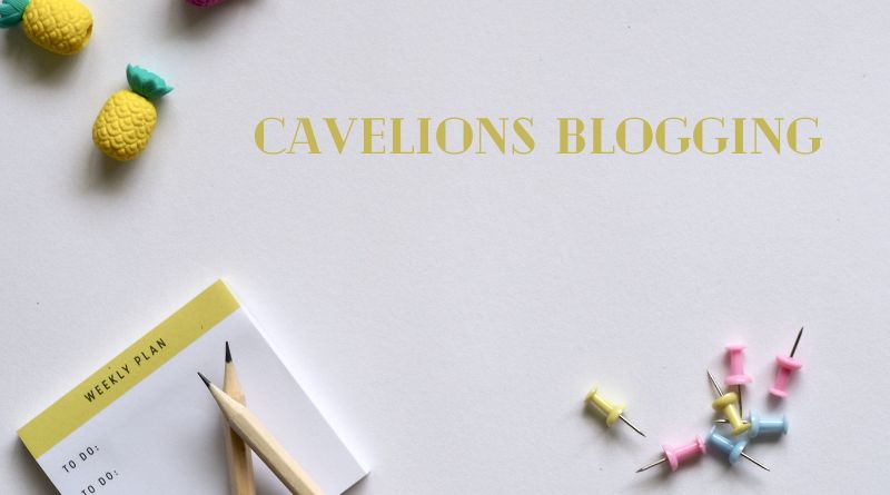 CaveLions Blogging Business School