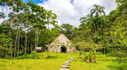 Enchanting Amazon Rainforest Lodges in Peru