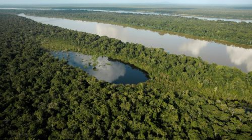 Exploring the Enchanting Amazon Rainforest: A Guide to Unforgettable Lodge Experiences