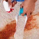 From Spills to Fresh Thrills: Mastering DIY Carpet Cleaning and Unveiling the Pro Secrets