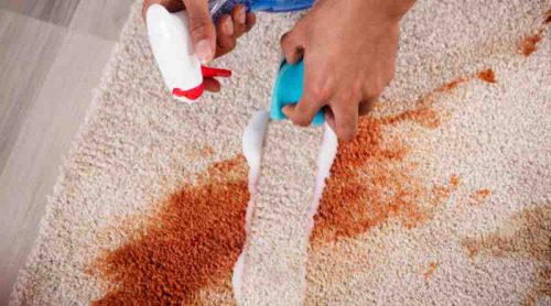 From Spills to Fresh Thrills: Mastering DIY Carpet Cleaning and Unveiling the Pro Secrets