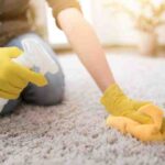 The Importance of Professional Carpet Cleaning Services in Sydney