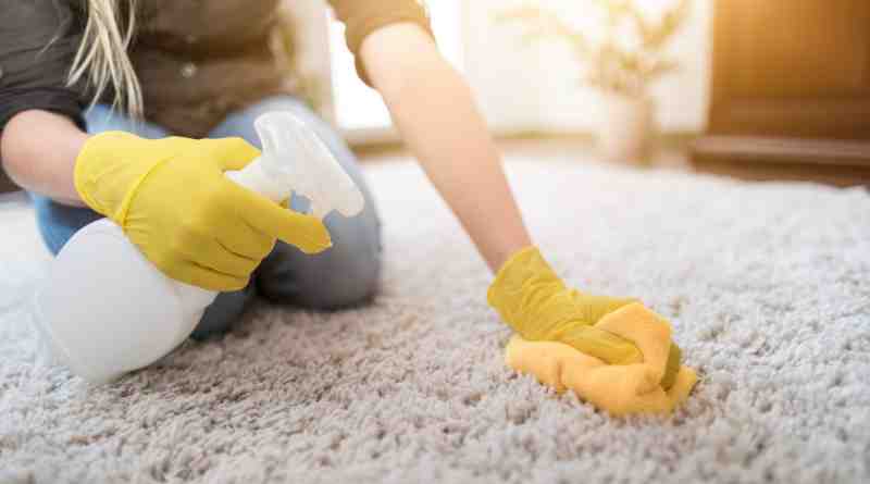 The Importance of Professional Carpet Cleaning Services in Sydney