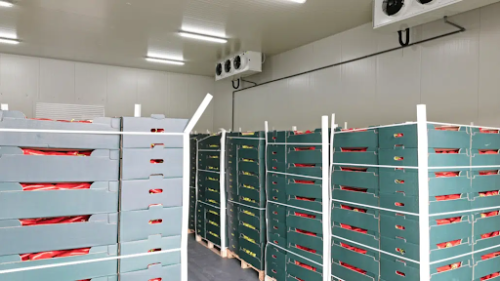 5 Advantages of Professional Commercial Cold Storage Installation