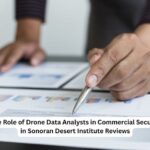 Drone Data Analysts