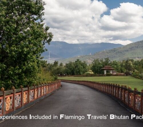 Top Experiences Included in Flamingo Travels’ Bhutan Packages
